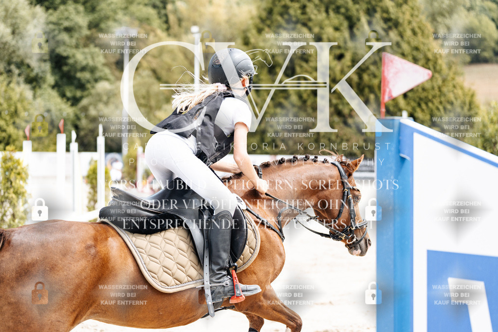 CK906757 | Turnierfotografie Pferdefotografie Trier Rheinland-Pfalz Pferdesport Reitsport Tierfotografie Sportfotografie Pferdevideo Pferdevideografie Equestrianvideography equestrianphotography  - Realisiert mit Pictrs.com