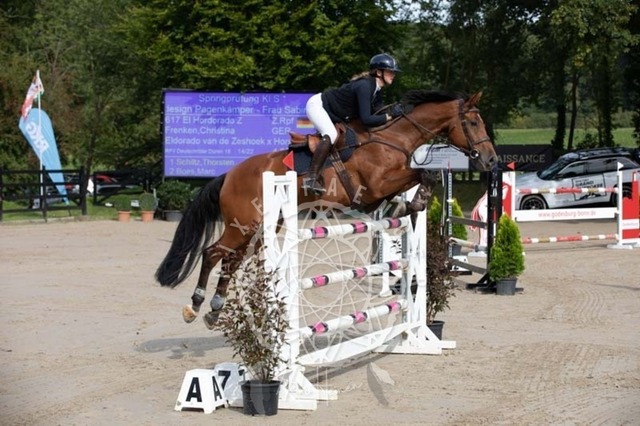 2B4A1266 | pixelfaenger - Realisiert mit Pictrs.com