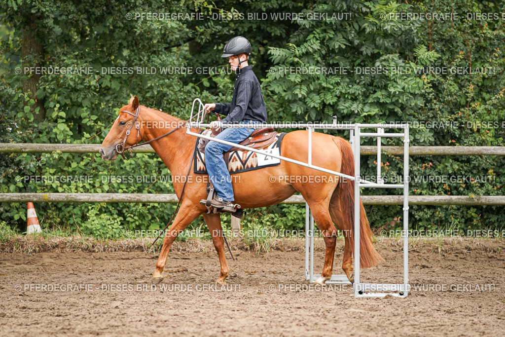 DSC03474 | Pferdegrafie