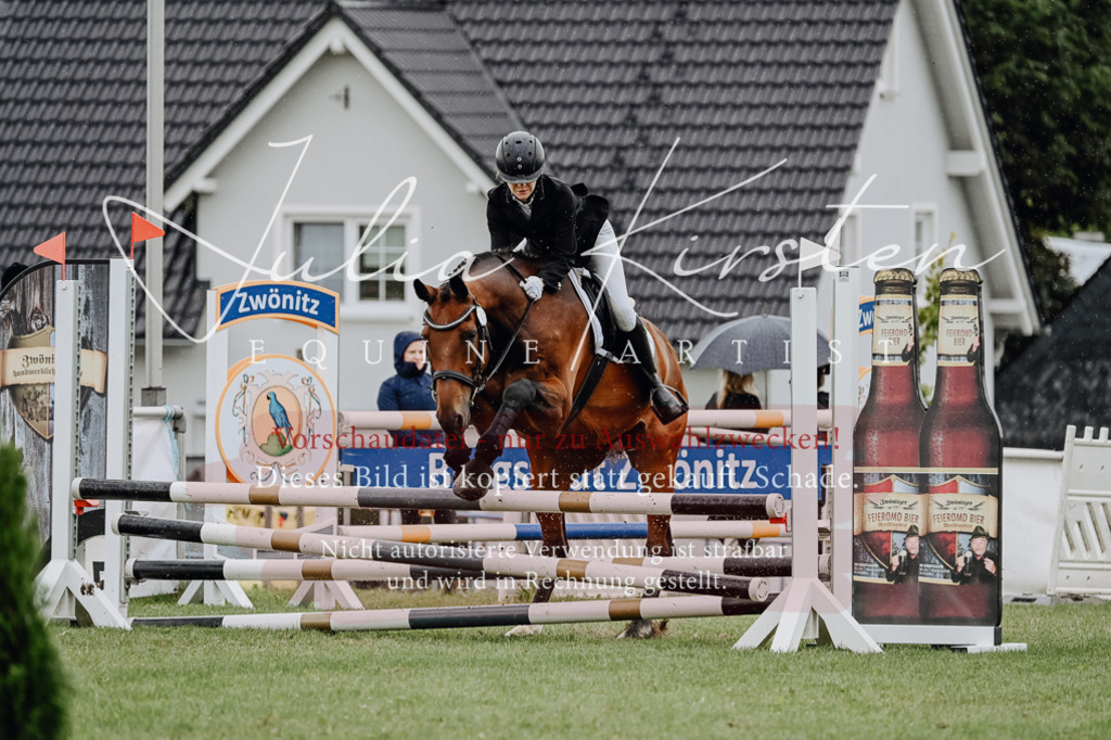 DSC_7029 | Pferde- und Turnierfotografie in Westsachsen. Pferdeportraits, Auftragszeichnungen und intuitive Kunst.