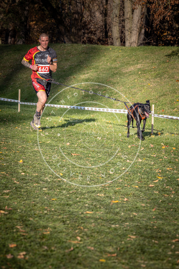 CaniXpix_0L8A9167 | Hundefotografie, Tierfotograf, Pfotenfotografie, Fotoshooting Hund, Hunde Portrait, Hundesport, Hundeportraits, Heideshooting, Hunde, Sportfotograf, Hundefotograf, Turnierhundsport, THS,  - Realisiert mit Pictrs.com