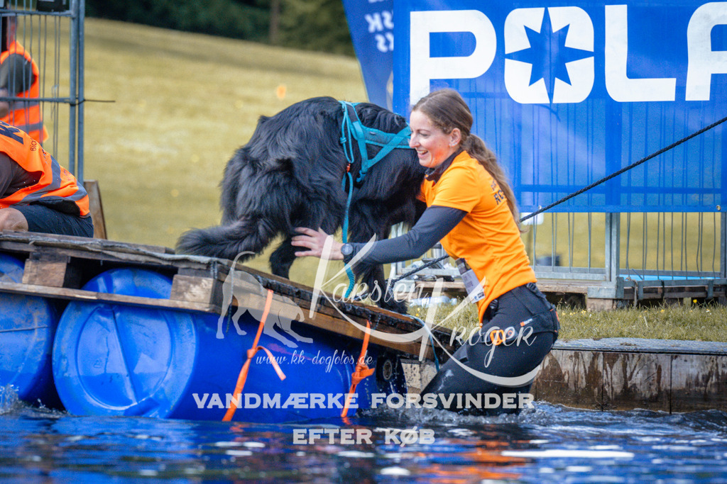 0835_ZZ99584 | kk-dogfotos