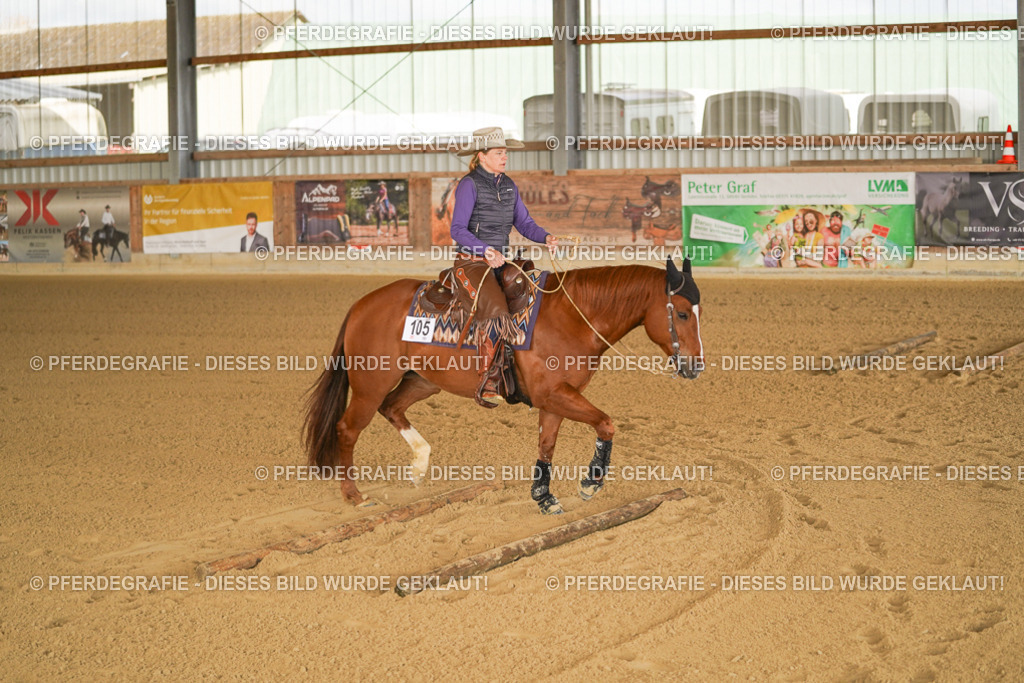 DSC01241 | Pferdegrafie