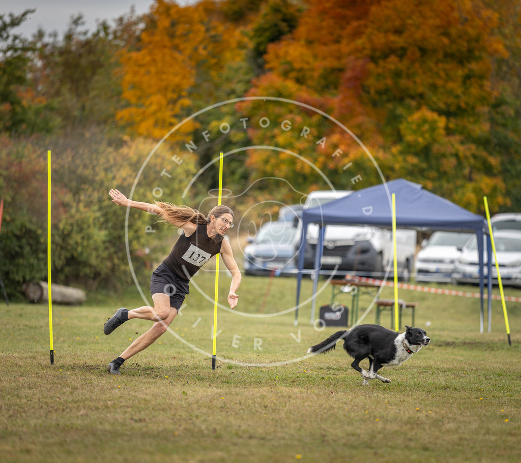 Pfotenfotografie_DV3A8154 | Hundefotografie, Tierfotograf, Pfotenfotografie, Fotoshooting Hund, Hunde Portrait, Hundesport, Hundeportraits, Heideshooting, Hunde, Sportfotograf, Hundefotograf, Turnierhundsport, THS,  - Realisiert mit Pictrs.com