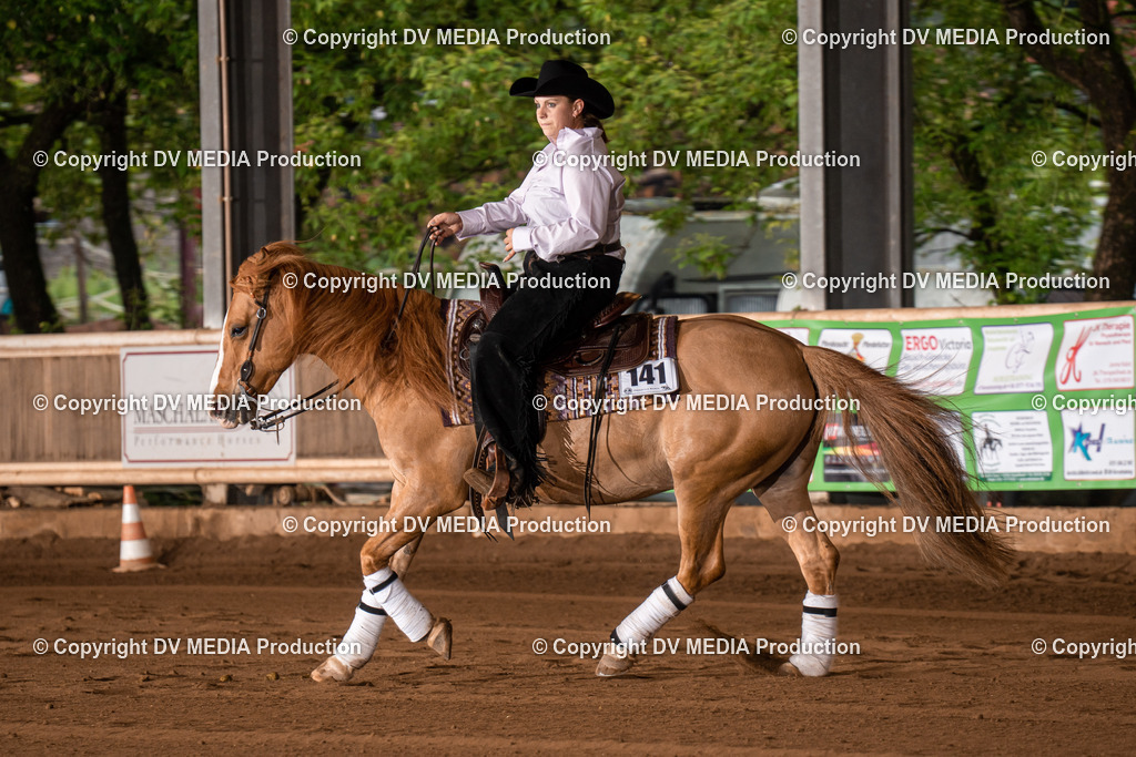 Erbach Tag 3-801 | dv-media-shop - Realisiert mit Pictrs.com