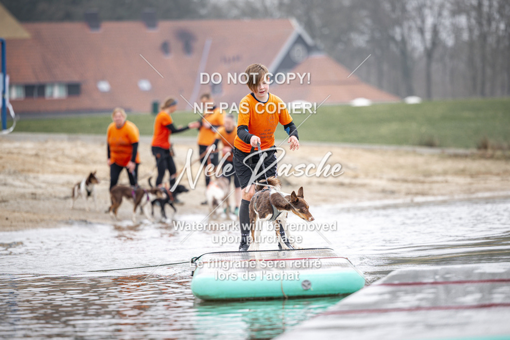 nelerasche_Hulsbeek_Sa1100-1130_536 | nelerasche
