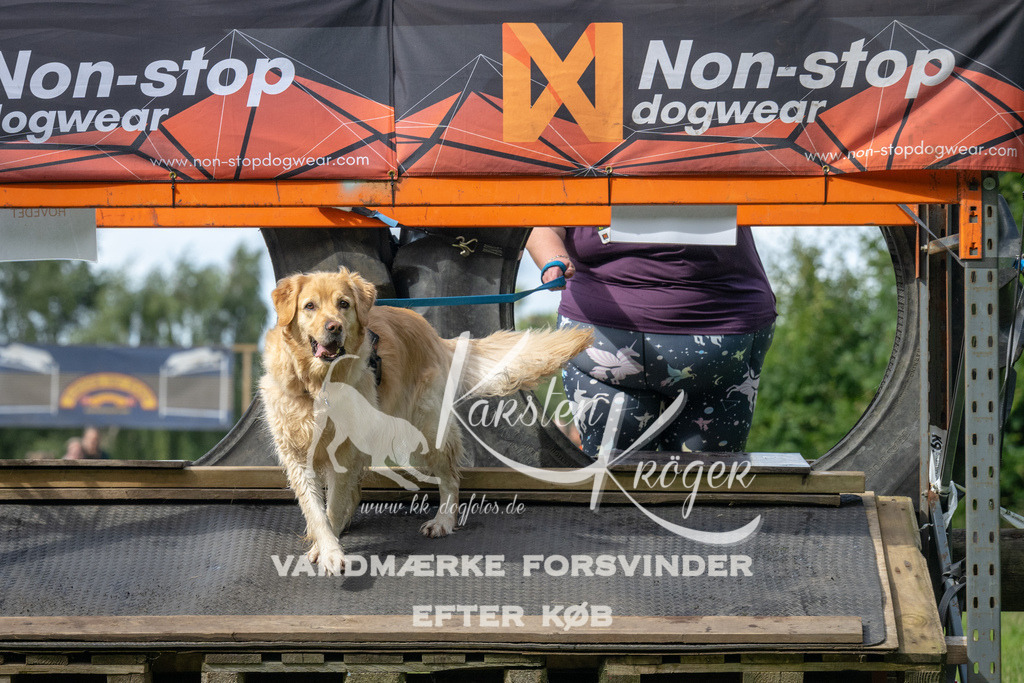 1555_ZZ94900 | kk-dogfotos