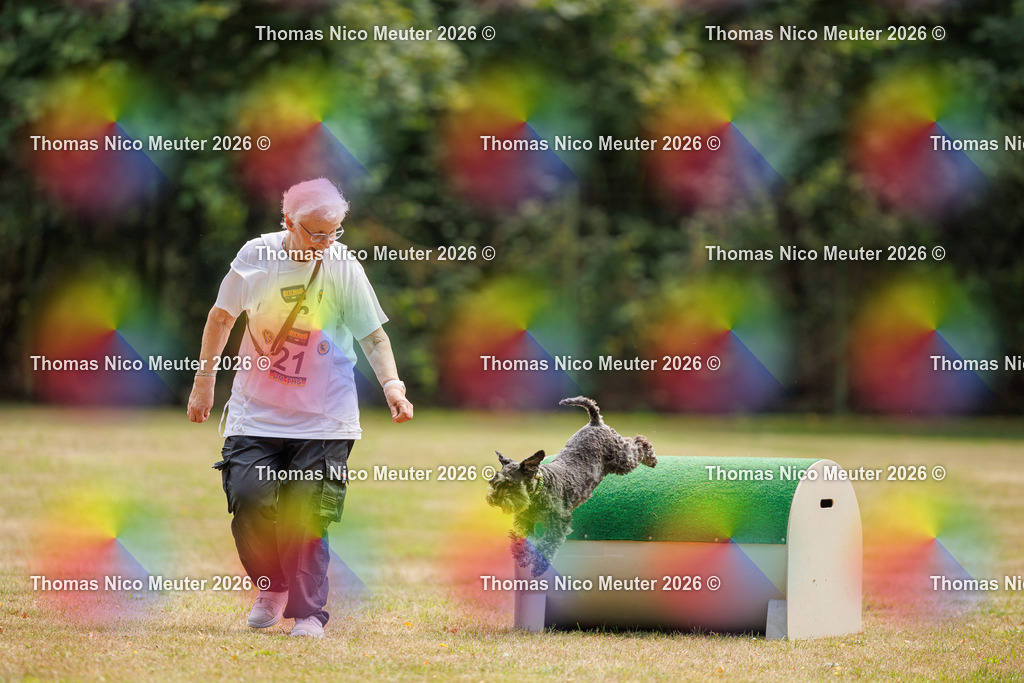 Thomas_Nico_Meuter(C)_22. August 2026_223A5211 | Bild von Thomas Nico Meuter - Realisiert mit Pictrs.com