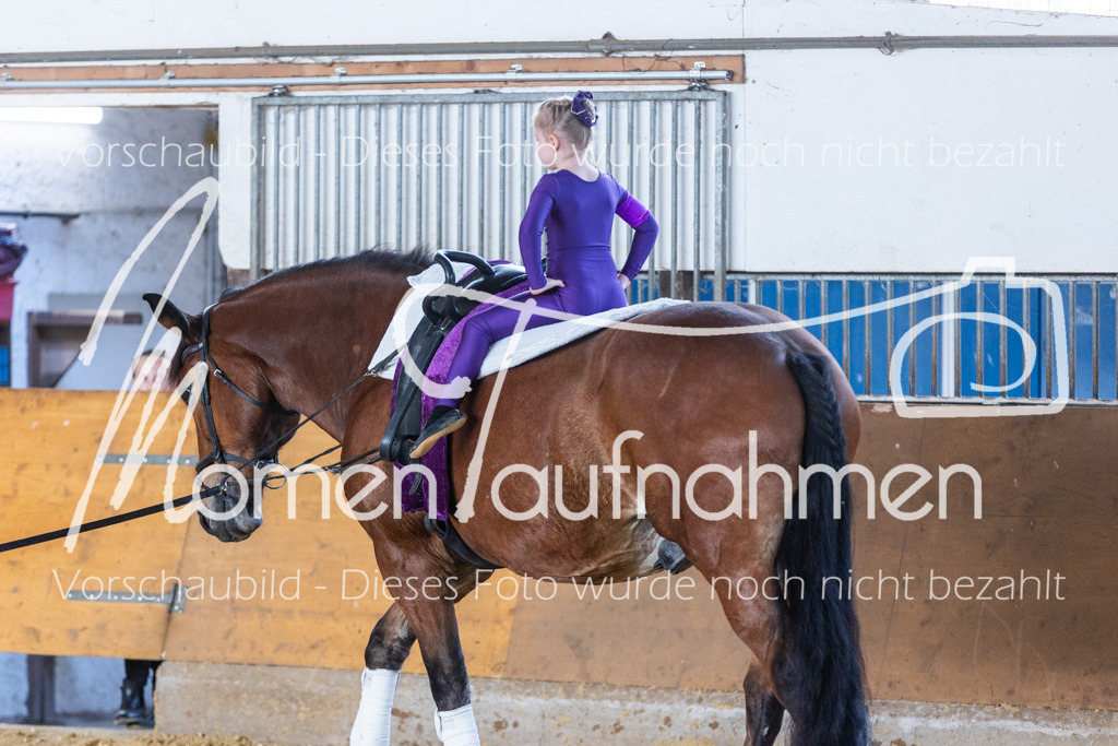 SS-Mini-241 | MomenTaufnahmen Pferdesportfotos