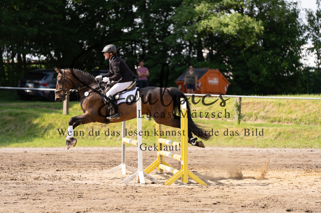 A7507407 | Turnier/Reitfotograf