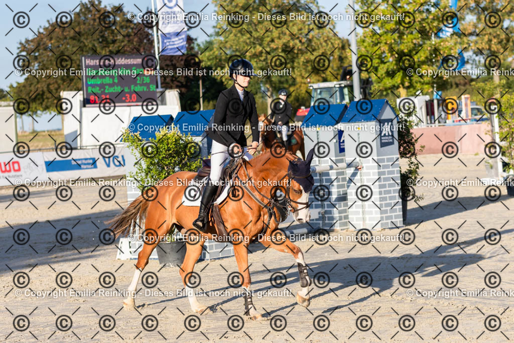 CL5A4429 | Emilia Reinking Fotografie - Realisiert mit Pictrs.com