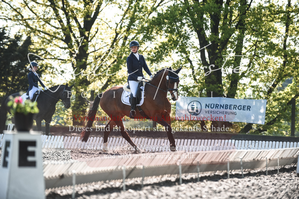 DSC_8548 | Pferde- und Turnierfotografie in Westsachsen. Pferdeportraits, Auftragszeichnungen und intuitive Kunst.