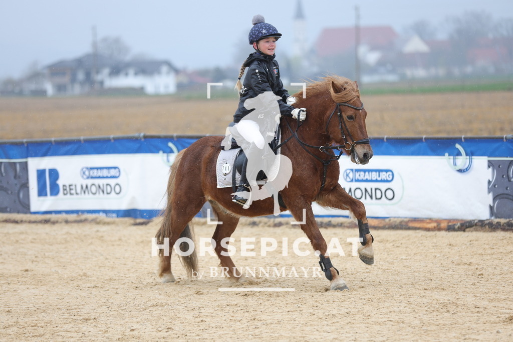 0P6A7272 | Willkommen bei Brunnmayr - Design & Fotografie – Ihrem Spezialisten für Reitturniere und Pferdeveranstaltungen in Oberösterreich, Salzburg und Bayern! Seit über 17 Jahren sind wir leidenschaftlich dabei.