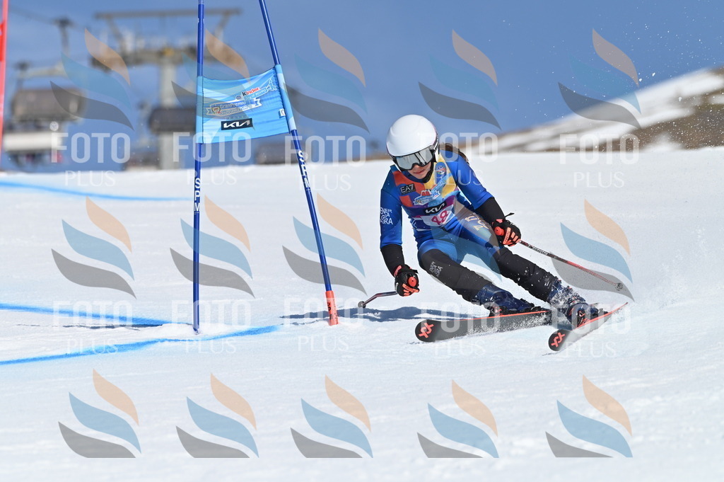 BGV_8501 | holidayphoto