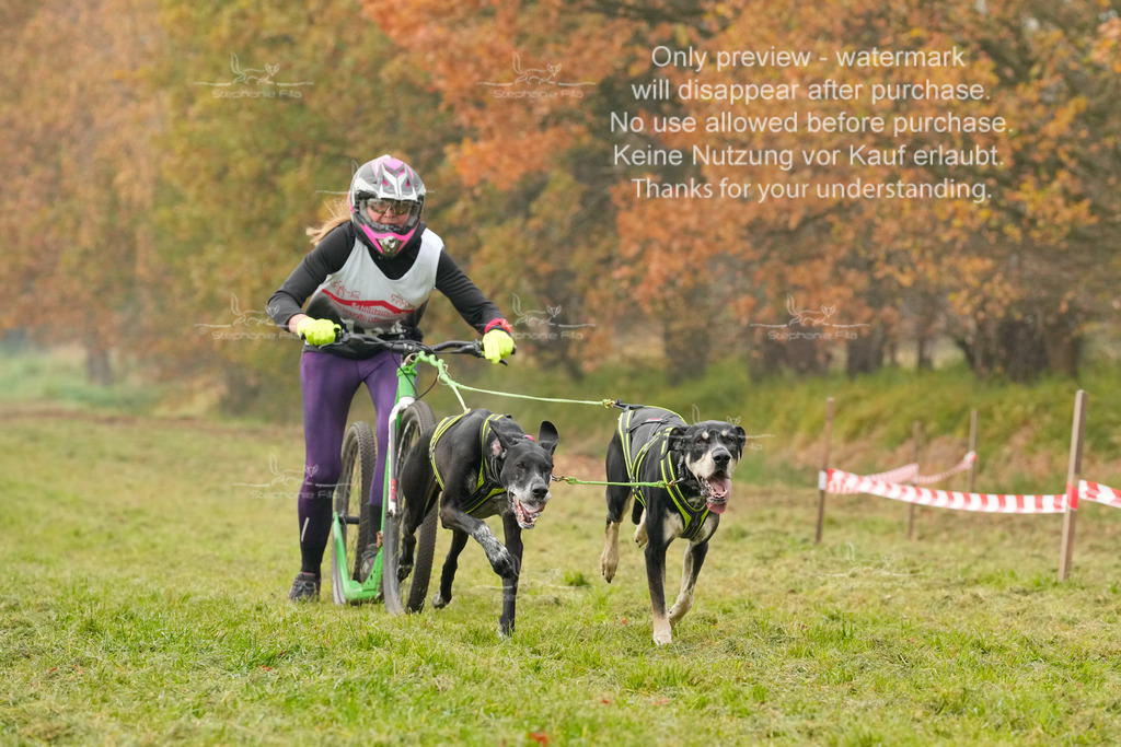 Visbeck_Sa_DS2DR2-53 | stephaniefillaphotographie - Realisiert mit Pictrs.com