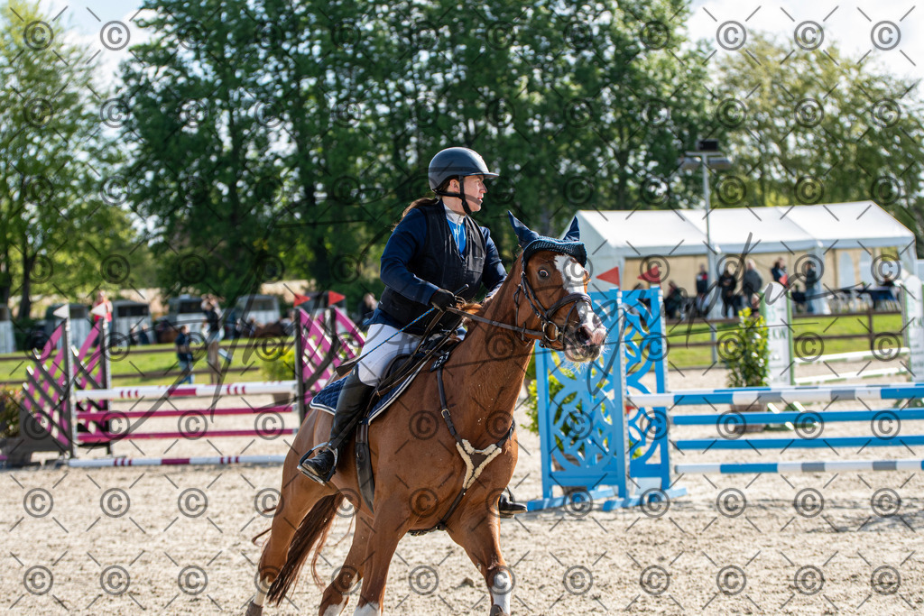 KPT_4642 | andre_photographic