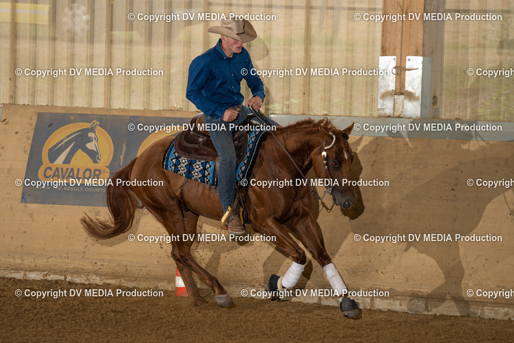 LAU00989 | dv-media-shop - Realisiert mit Pictrs.com