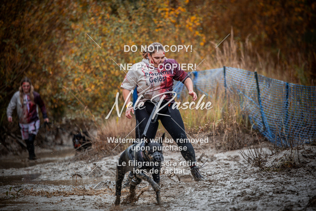 nelerasche_Creepy2025_Sa09-10_277 | nelerasche
