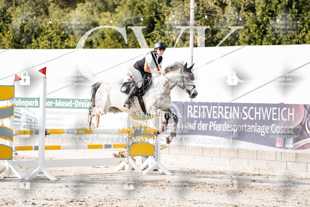 CK906002 | Turnierfotografie Pferdefotografie Trier Rheinland-Pfalz Pferdesport Reitsport Tierfotografie Sportfotografie Pferdevideo Pferdevideografie Equestrianvideography equestrianphotography  - Realisiert mit Pictrs.com