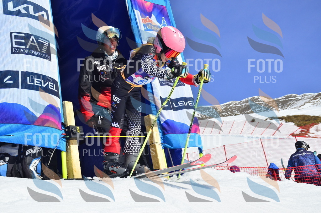 _ELE0236 | holidayphoto