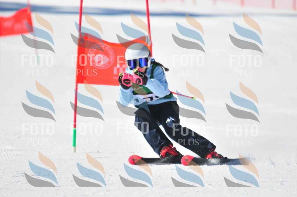 C3931 | holidayphoto