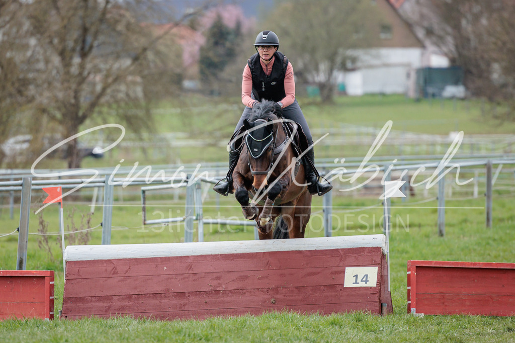 20260329-_3LI5270 | Tierfotografie Pferde, Hunde, Katzen, Haustiere.
Turnierfotografie Reitturniere, Reiten, Springreiten, Dressur in Hanau, dem Main-Kinzig-Kreis und dem Rhein-Main- Gebiet um Frankfurt