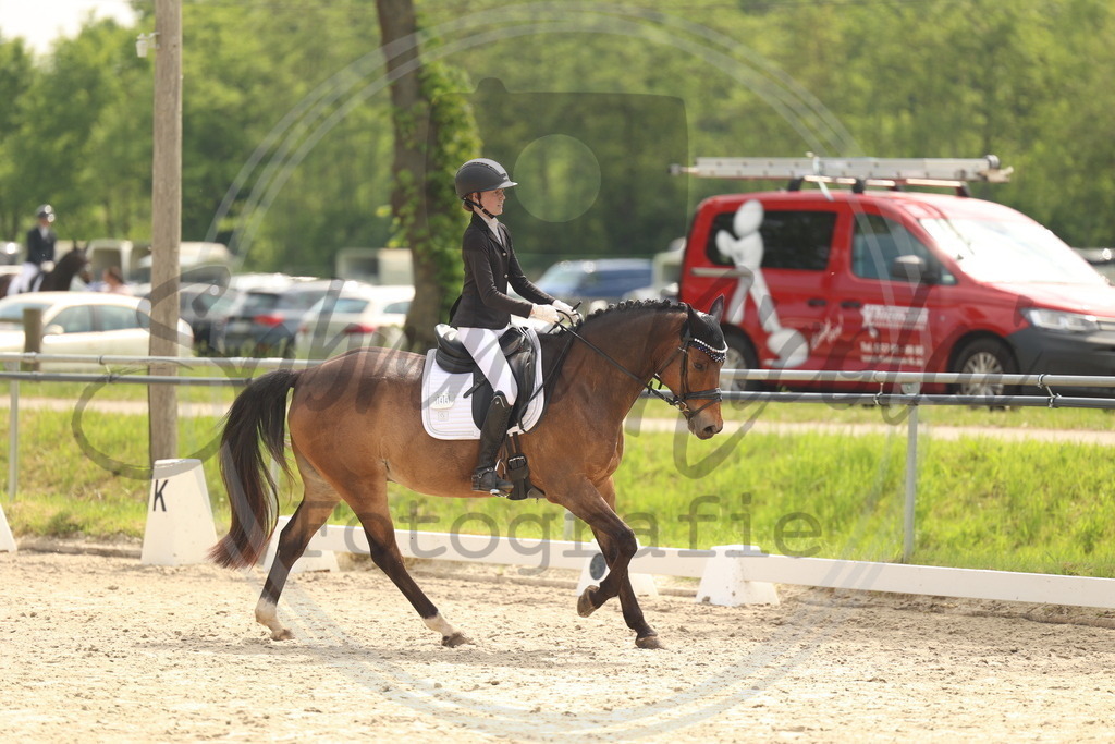 994A6889 | sabrinanicolaifotografie - Realisiert mit Pictrs.com