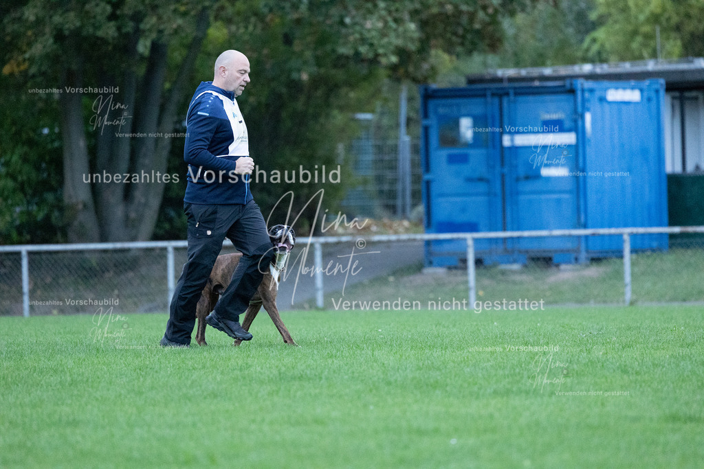 _16A4422 | Einzigartige Fotos von Hunden & Menschen –Actionfotos, Portraits, Vereinsaufnahmen & Paarshootings – authentisch, lebendig & mit Herz.