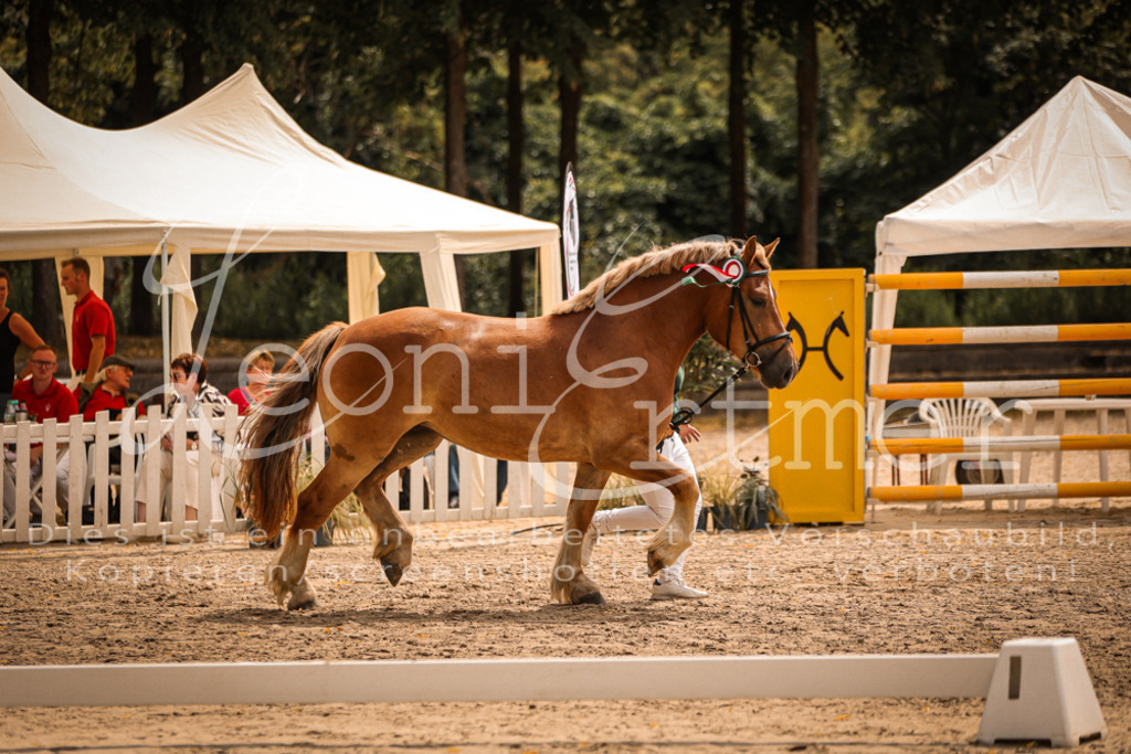 SaSieger00003 | Leoni Ertmer Photography - Realisiert mit Pictrs.com