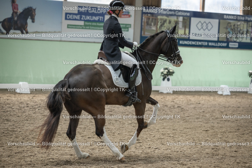 _D5A5018 | Emotionale Pferde- & People-Fotografie rund um Heidelberg, Leimen & Umgebung. Natürliche Fotos von Pferd, Mensch & Familie. Jetzt Termin sichern!