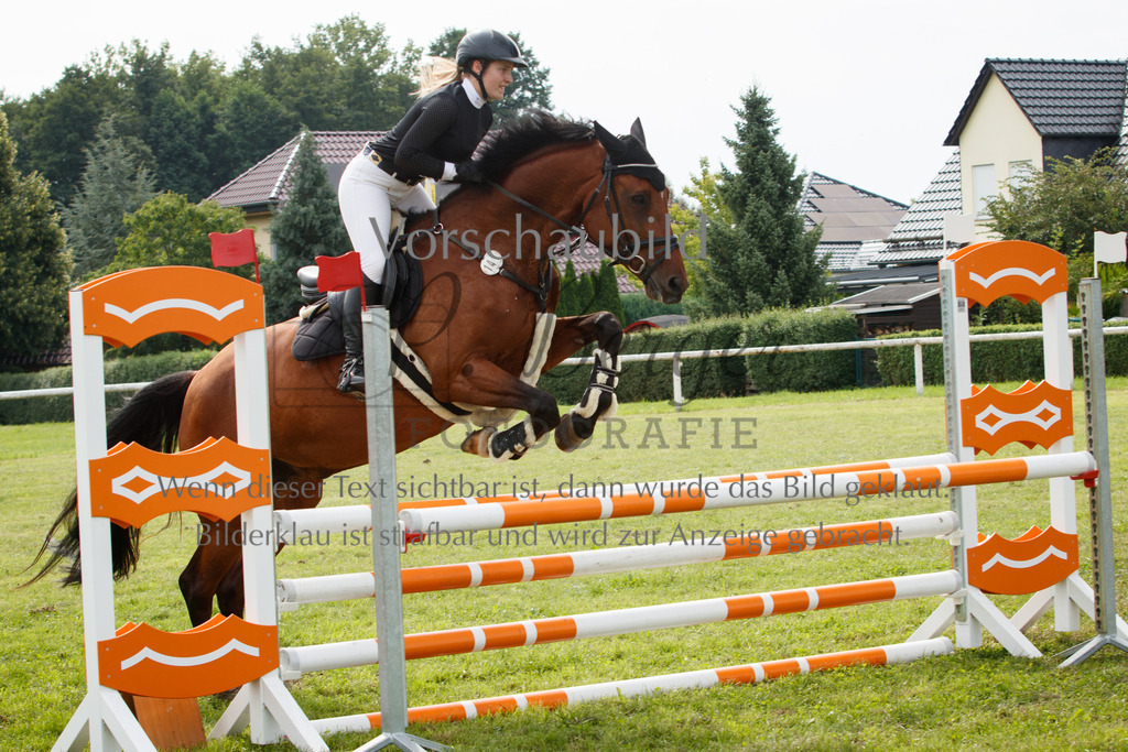 IMG_2852 | P. Berger Fotografie - Realisiert mit Pictrs.com