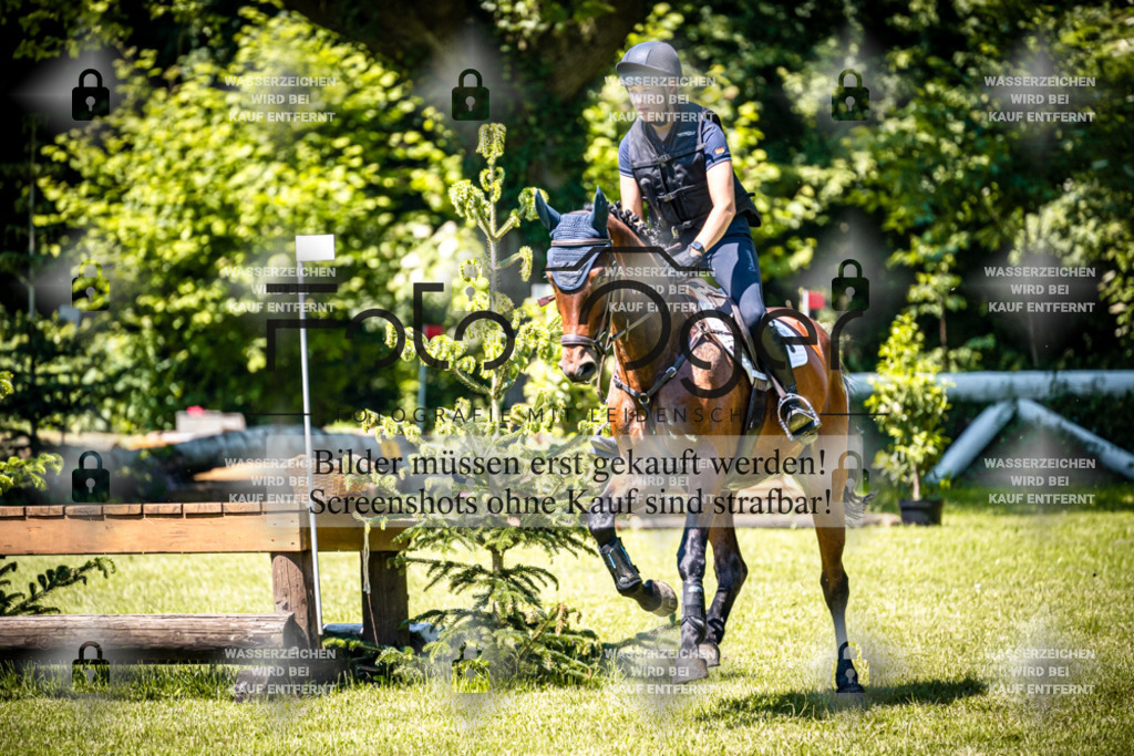 2026-05 - Melle Oldendorf-1-0014 | Entdecke hochwertige Reitturnierfotos von Foto Oger. Professionell, emotional und authentisch – jetzt Lieblingsmomente im Shop bestellen.Deutschlandweite Turnierfotografie. - Realisiert mit Pictrs.com