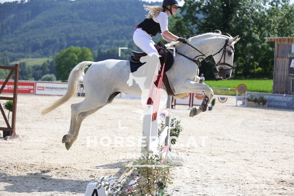 0P6A0663 | Willkommen bei Brunnmayr - Design & Fotografie – Ihrem Spezialisten für Reitturniere und Pferdeveranstaltungen in Oberösterreich, Salzburg und Bayern! Seit über 17 Jahren sind wir leidenschaftlich dabei.