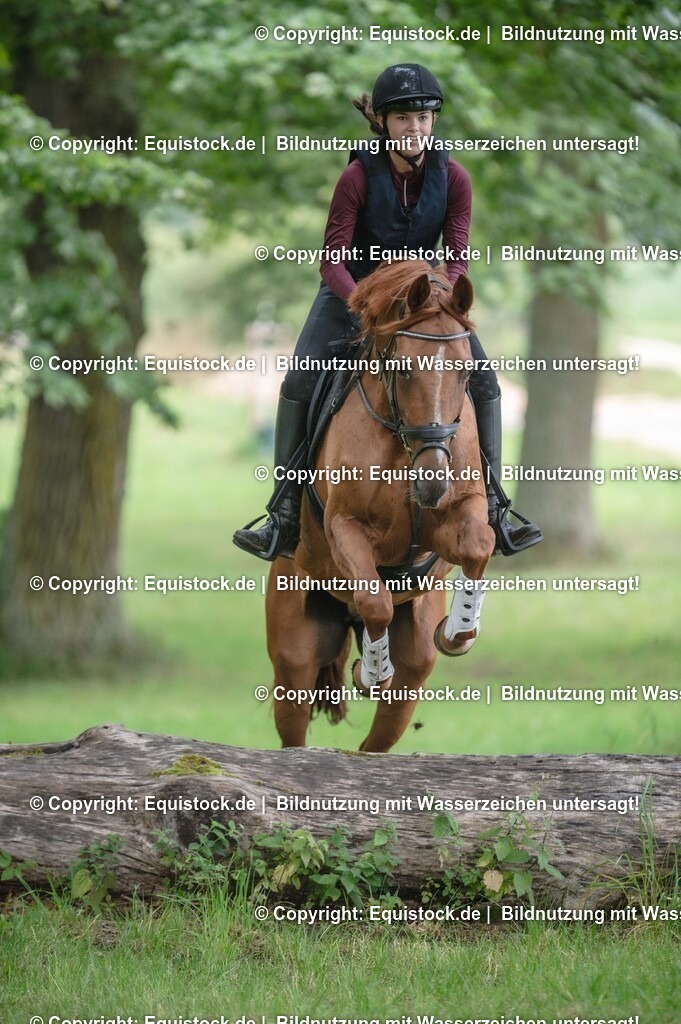 20250726_Vielseitigkeitslehrgang-Marbach_0196 | Foto: Thomas Hartig