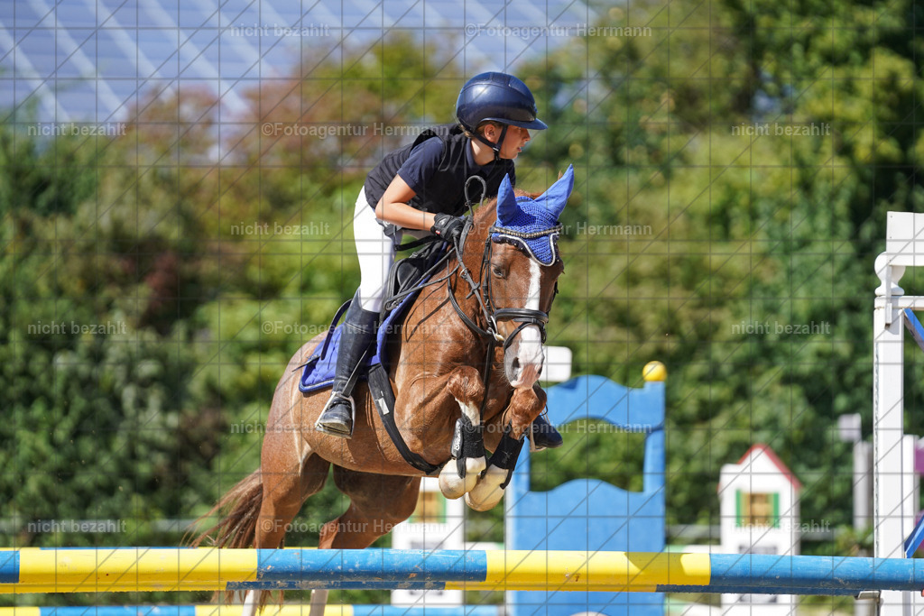 20240824-FAH08231 | Thierhaupten 2024, Bayerisches Landesponyturnier, Turnierbilder, Ponybilder, Turnierfotografen Bayern, Fotoagentur Herrmann
