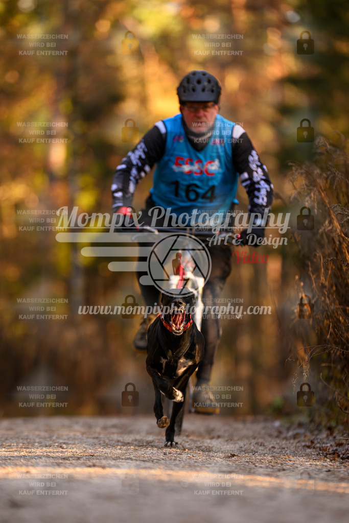 MompixPhotography_DM_AKDM_SO_2025_Bike-139 | PayLife