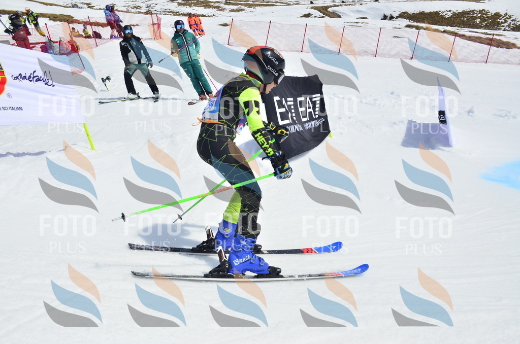 _ELE1922 | holidayphoto