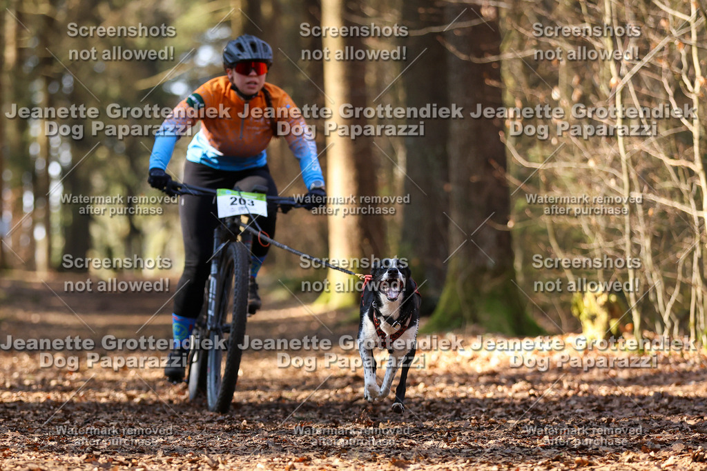 Dog Paparazzi - VCC26-940 | Dog Paparazzi Jeanette Grottendiek Fotografie & Videografie - Realisiert mit Pictrs.com