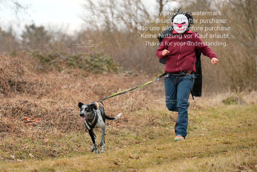 3Fasching-3 | stephaniefillaphotographie - Realisiert mit Pictrs.com