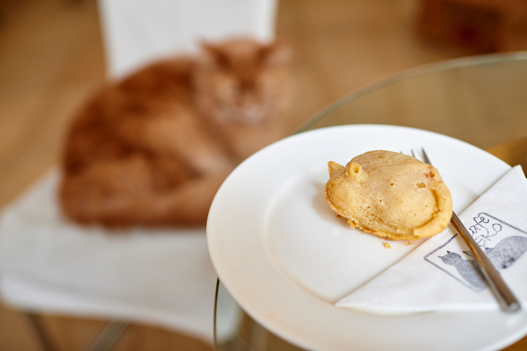 Cafe Neko | Wien, Austria - October 05, 2017: Cafe Neko-Katzencafe, kleine Süßspeise auf dem Teller, im Hintergrund eine rothaarige Katze. - Realisiert mit Pictrs.com