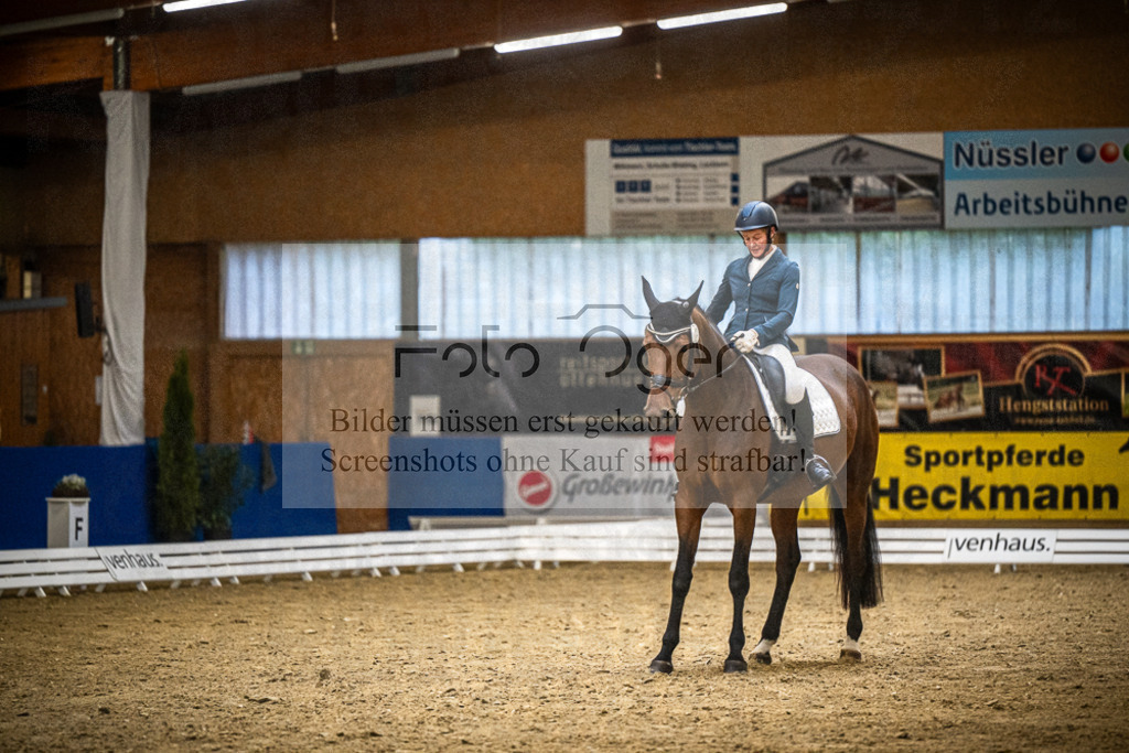 DOS_0313 | Entdecke hochwertige Reitturnierfotos von Foto Oger. Professionell, emotional und authentisch – jetzt Lieblingsmomente im Shop bestellen.Deutschlandweite Turnierfotografie. - Realisiert mit Pictrs.com