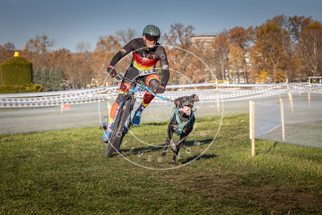 CaniXpix_0L8A4617 | Hundefotografie, Tierfotograf, Pfotenfotografie, Fotoshooting Hund, Hunde Portrait, Hundesport, Hundeportraits, Heideshooting, Hunde, Sportfotograf, Hundefotograf, Turnierhundsport, THS,  - Realisiert mit Pictrs.com