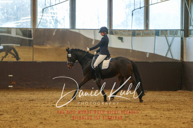 IMG_7532 | Turniersportfotografie; Pferdefotografie; Dressurfotografie