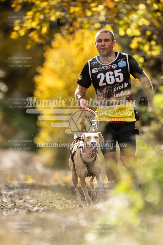 MompixPhotography_ICF_WC_2024_SA_Run_-79 | PayLife