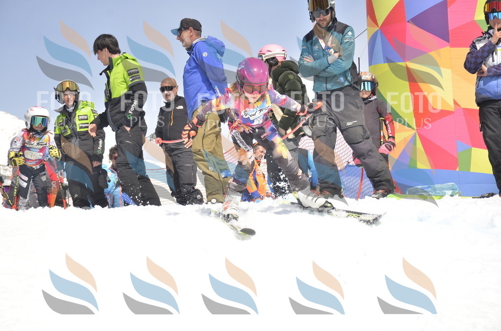 _ELE9154 | holidayphoto