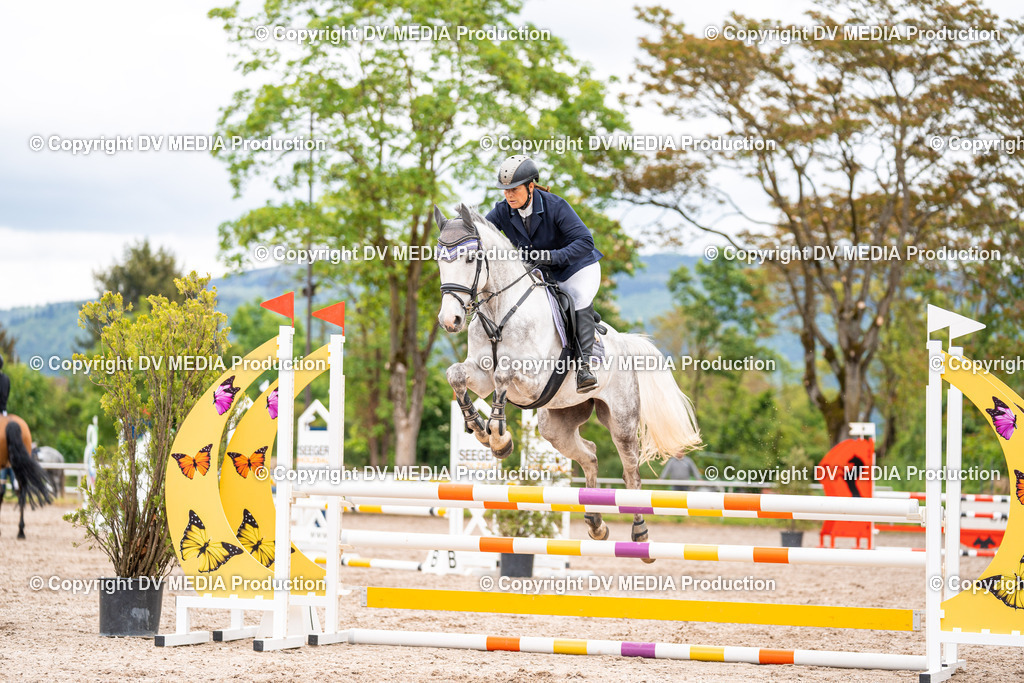 Eppelheim Tag 1-70 | dv-media-shop - Realisiert mit Pictrs.com