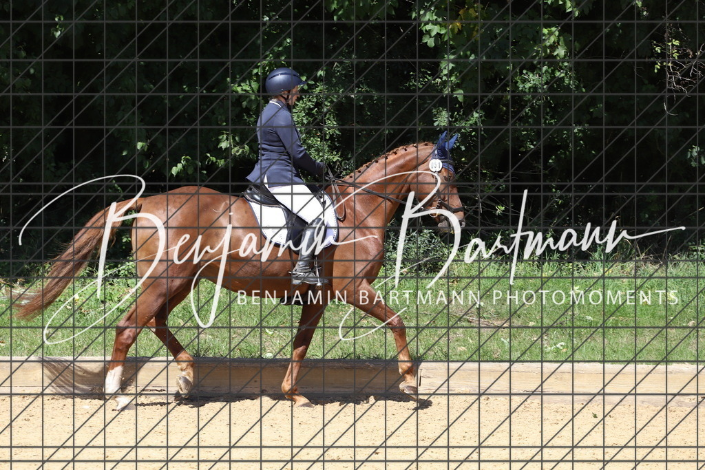 IMG_6664 | Benjamin Bartmann Photomoments