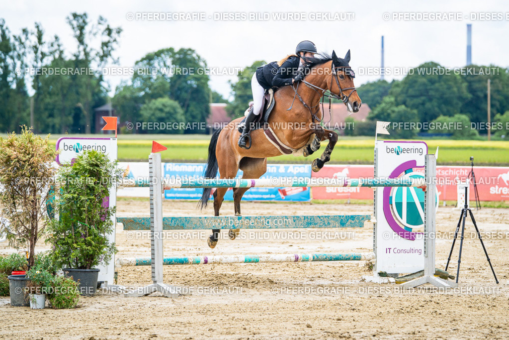 DSC04806 | Pferdegrafie