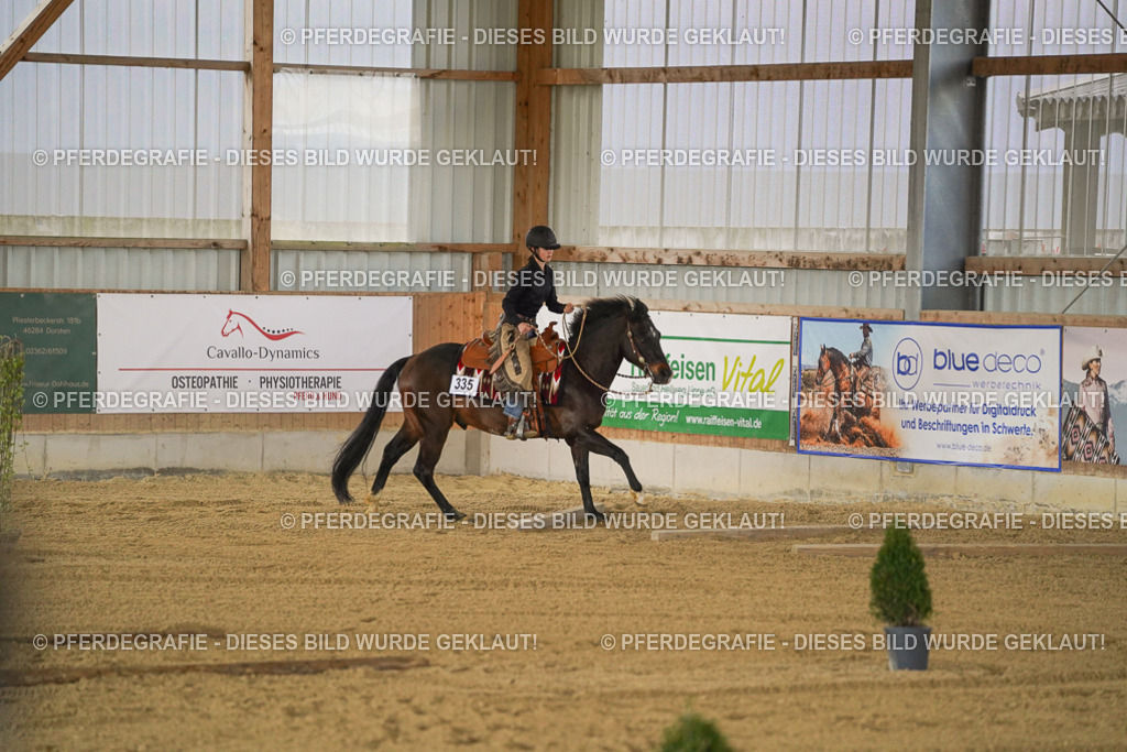 DSC06271 | Pferdegrafie