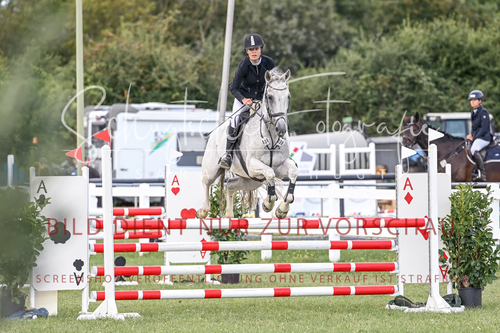 Schugtsche-Düren.2024-08.Amat.Springprf.L-129 | Schugtsche Fotografie - Realisiert mit Pictrs.com